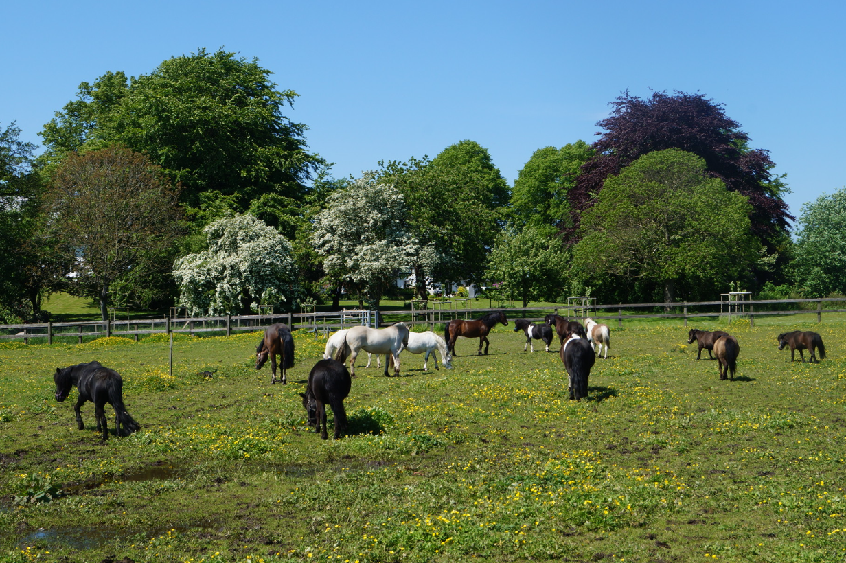 Screenshot 2026-01-26 221623